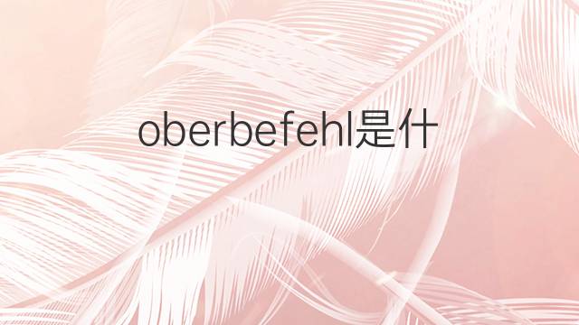 oberbefehl是什么意思 oberbefehl的中文翻译、读音、例句