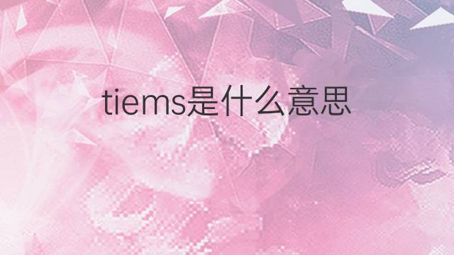 tiems是什么意思 tiems的中文翻译、读音、例句