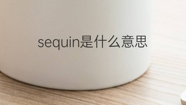 sequin是什么意思 sequin的中文翻译、读音、例句