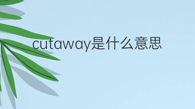 cutaway是什么意思 cutaway的中文翻译、读音、例句