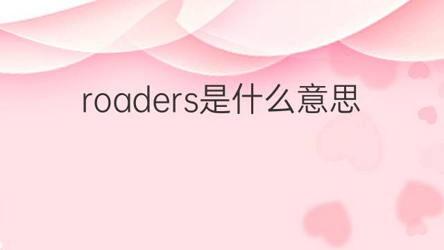 roaders是什么意思 roaders的中文翻译、读音、例句