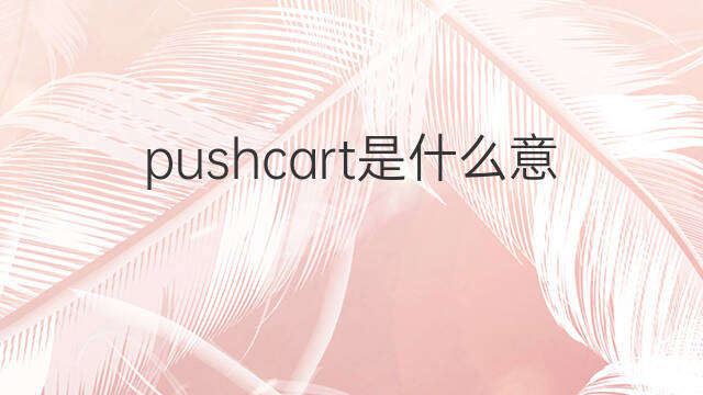 pushcart是什么意思 pushcart的中文翻译、读音、例句