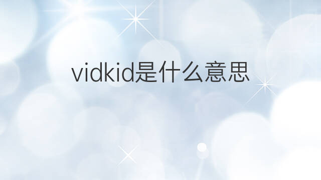 vidkid是什么意思 vidkid的中文翻译、读音、例句