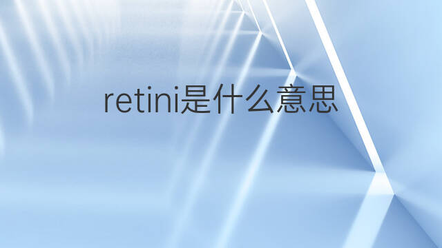 retini是什么意思 retini的中文翻译、读音、例句