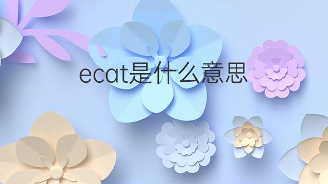 ecat是什么意思 ecat的中文翻译、读音、例句