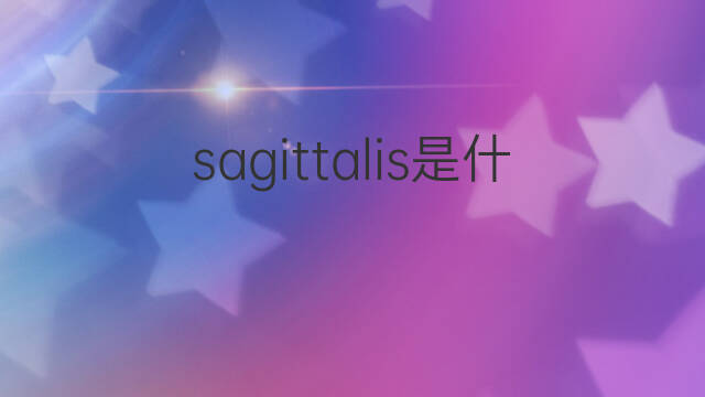 sagittalis是什么意思 sagittalis的中文翻译、读音、例句