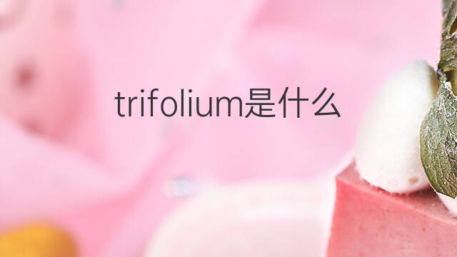 trifolium是什么意思 trifolium的中文翻译、读音、例句
