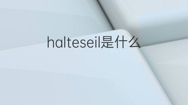 halteseil是什么意思 halteseil的中文翻译、读音、例句