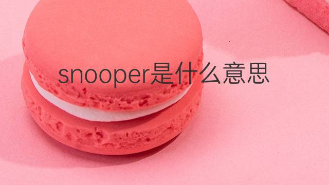 snooper是什么意思 snooper的中文翻译、读音、例句