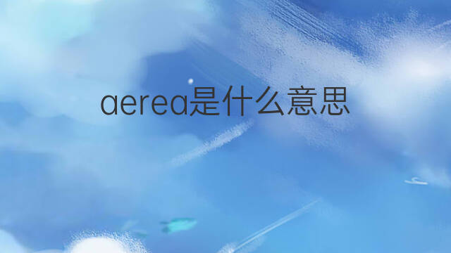 aerea是什么意思 aerea的中文翻译、读音、例句