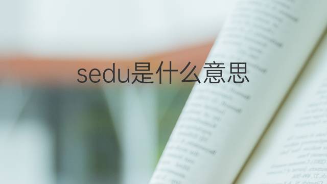 sedu是什么意思 sedu的中文翻译、读音、例句