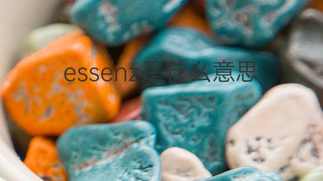 essenz是什么意思 essenz的中文翻译、读音、例句