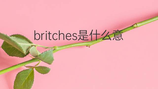 britches是什么意思 britches的中文翻译、读音、例句