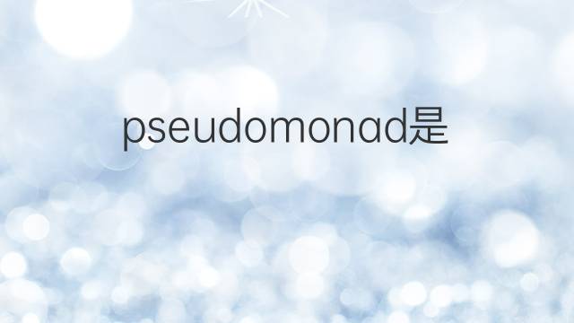 pseudomonad是什么意思 pseudomonad的中文翻译、读音、例句