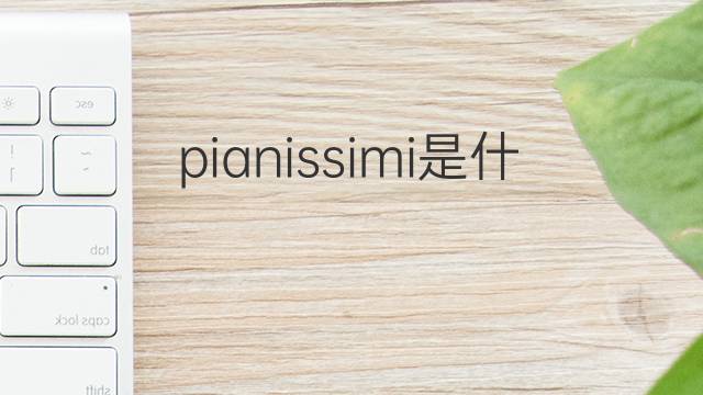 pianissimi是什么意思 pianissimi的中文翻译、读音、例句
