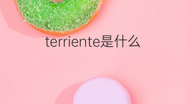 terriente是什么意思 terriente的中文翻译、读音、例句