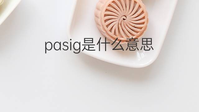pasig是什么意思 pasig的中文翻译、读音、例句