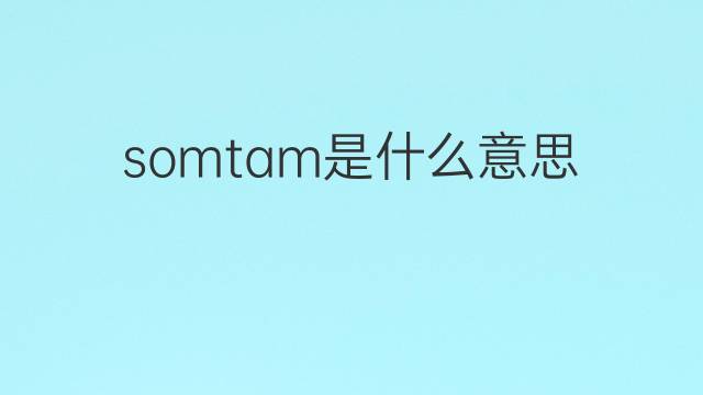 somtam是什么意思 somtam的中文翻译、读音、例句