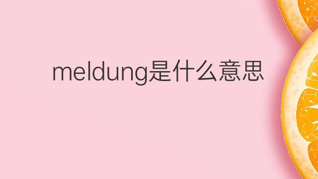 meldung是什么意思 meldung的中文翻译、读音、例句