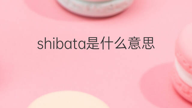shibata是什么意思 shibata的中文翻译、读音、例句