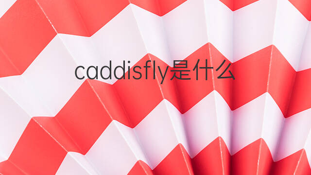 caddisfly是什么意思 caddisfly的中文翻译、读音、例句