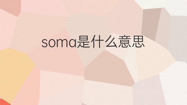 soma是什么意思 soma的中文翻译、读音、例句