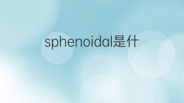 sphenoidal是什么意思 sphenoidal的中文翻译、读音、例句
