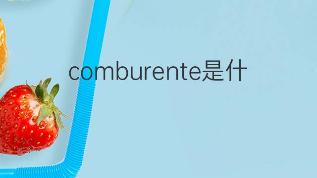comburente是什么意思 comburente的中文翻译、读音、例句