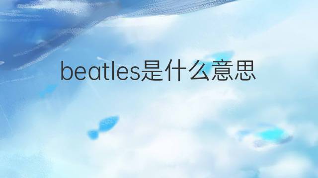 beatles是什么意思 beatles的中文翻译、读音、例句