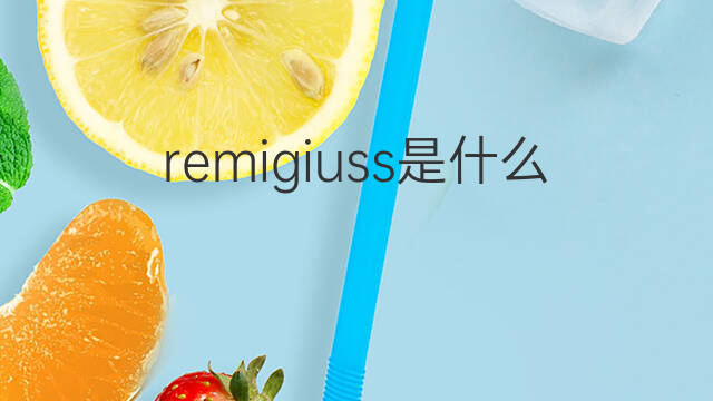 remigiuss是什么意思 remigiuss的中文翻译、读音、例句
