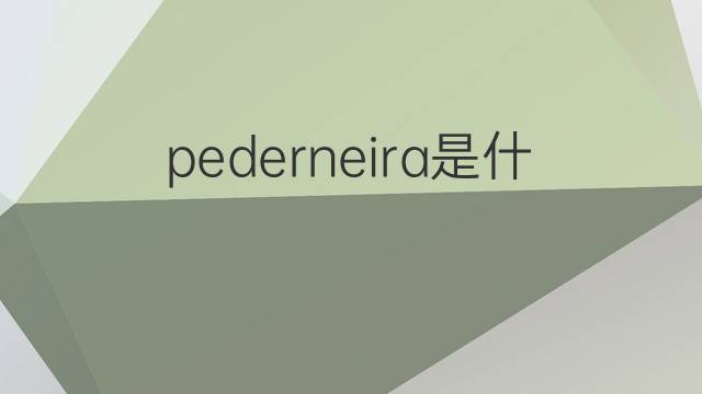 pederneira是什么意思 pederneira的中文翻译、读音、例句