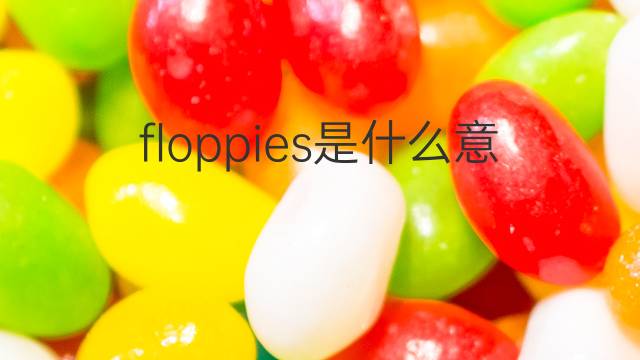 floppies是什么意思 floppies的中文翻译、读音、例句