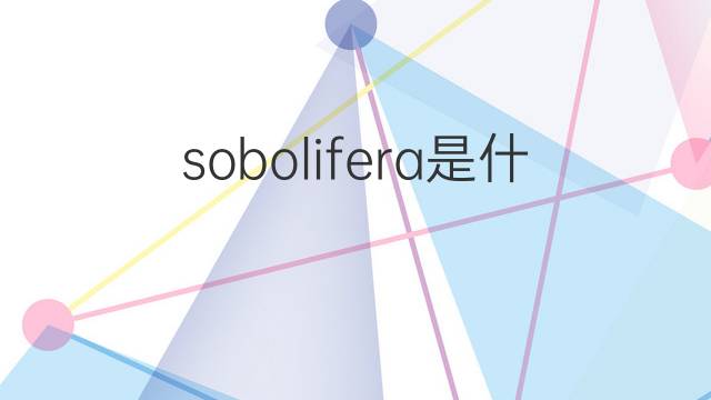 sobolifera是什么意思 sobolifera的中文翻译、读音、例句