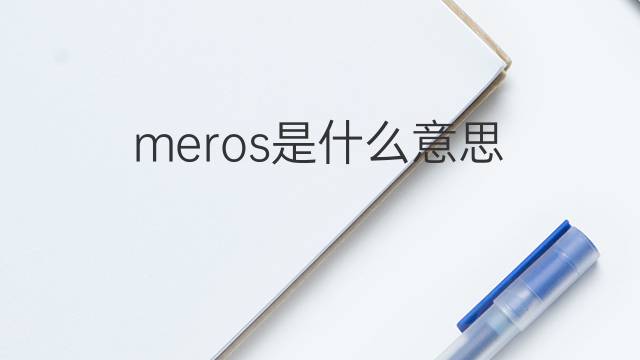meros是什么意思 meros的中文翻译、读音、例句