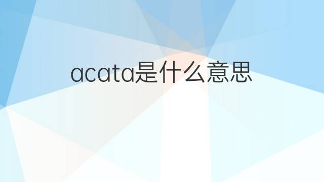 acata是什么意思 acata的中文翻译、读音、例句