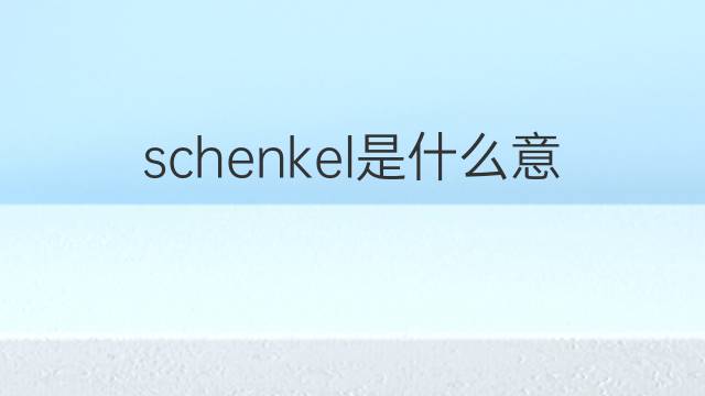 schenkel是什么意思 schenkel的中文翻译、读音、例句