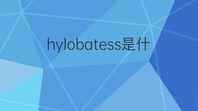 hylobatess是什么意思 hylobatess的中文翻译、读音、例句