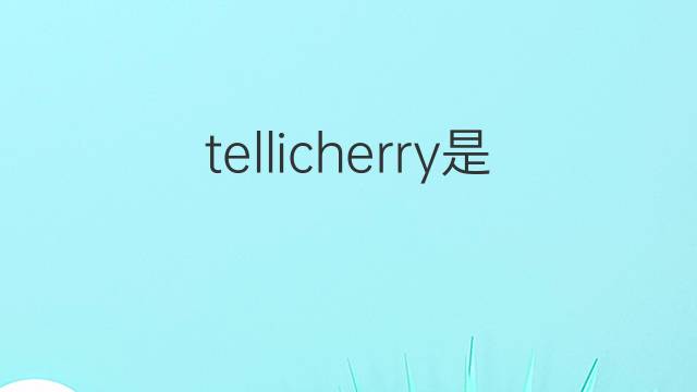 tellicherry是什么意思 tellicherry的中文翻译、读音、例句