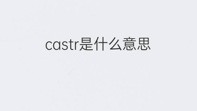 castr是什么意思 castr的中文翻译、读音、例句