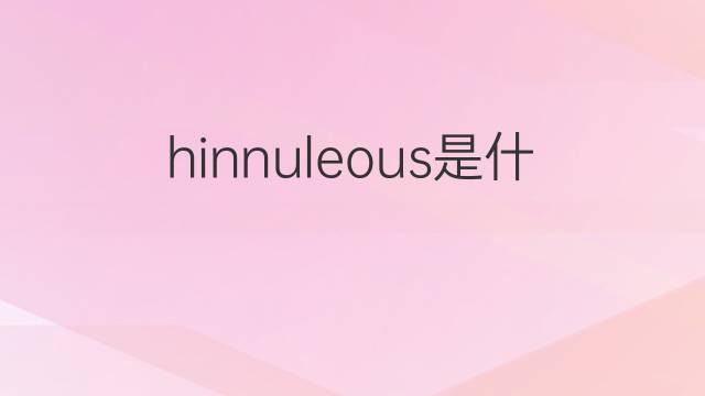 hinnuleous是什么意思 hinnuleous的中文翻译、读音、例句