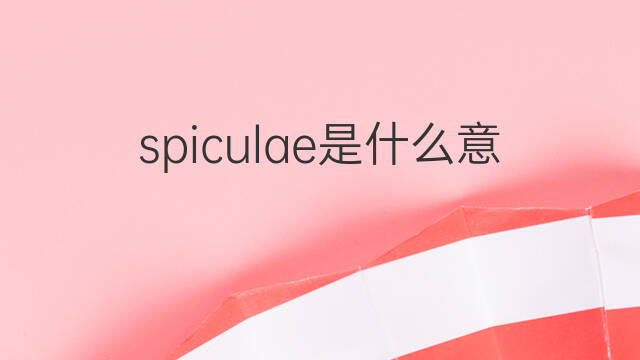 spiculae是什么意思 spiculae的中文翻译、读音、例句
