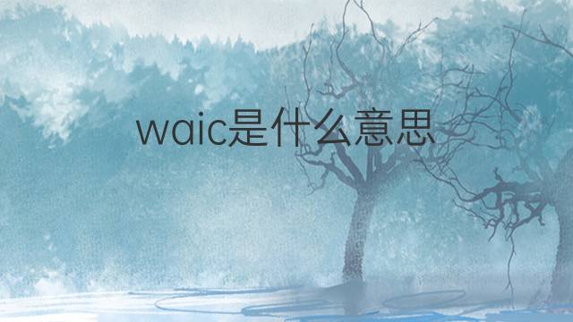 waic是什么意思 waic的中文翻译、读音、例句