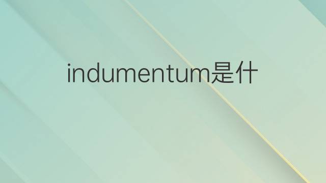 indumentum是什么意思 indumentum的中文翻译、读音、例句