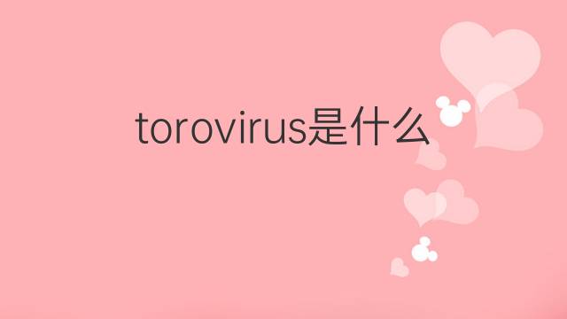 torovirus是什么意思 torovirus的中文翻译、读音、例句