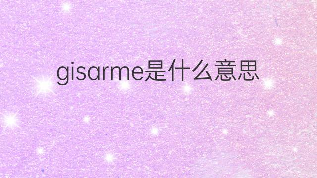 gisarme是什么意思 gisarme的中文翻译、读音、例句