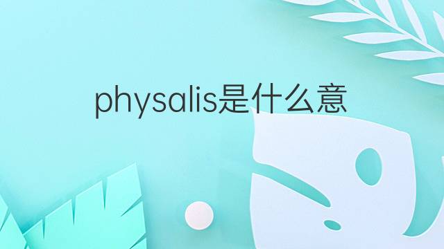 physalis是什么意思 physalis的中文翻译、读音、例句