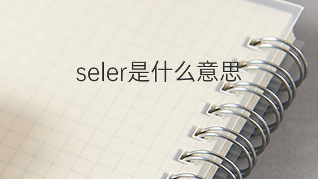 seler是什么意思 seler的中文翻译、读音、例句