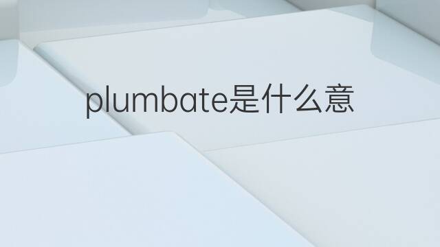 plumbate是什么意思 plumbate的中文翻译、读音、例句