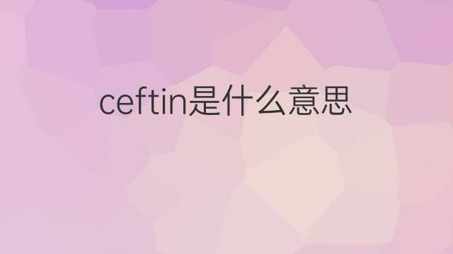 ceftin是什么意思 ceftin的中文翻译、读音、例句