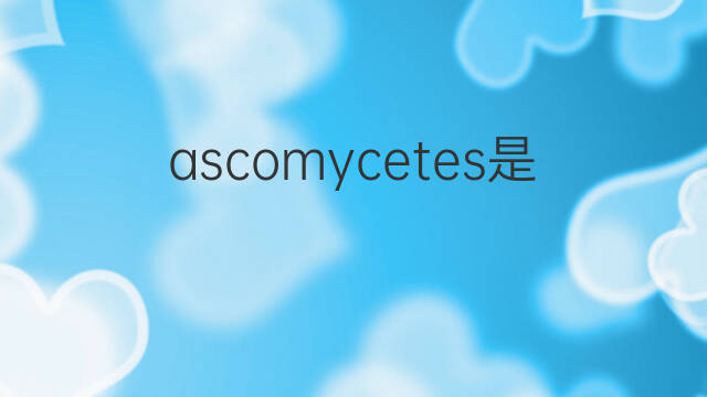 ascomycetes是什么意思 ascomycetes的中文翻译、读音、例句